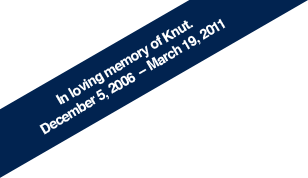 In loving memory of Knut. December 5, 2006   March 19, 2011